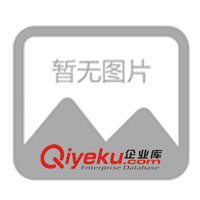 廣東發電機公司，廣東發電機組公司，康明斯